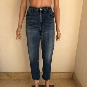 Lucky Brand Candiani Sienna Slim Boyfriend Denim Blue Jeans Pant Women’s Size 10